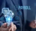 Payroline - Payroll Web Application